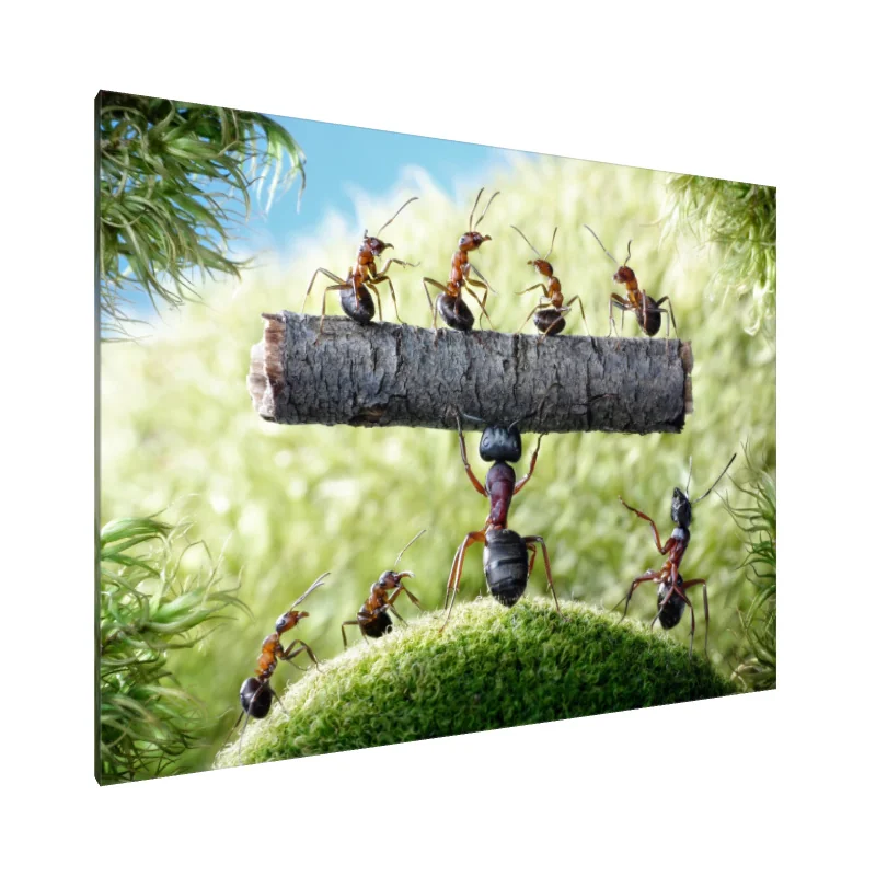 Tablou Canvas: Unitate în Forță - Image 1