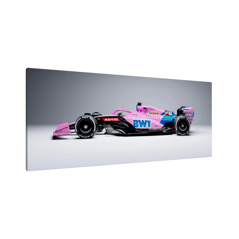 Tablou Canvas: Viteză în Roz