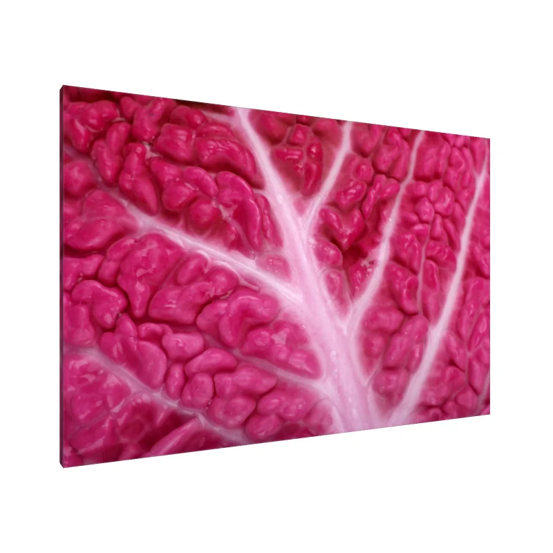 Tablou Canvas: Venelor de Catifea