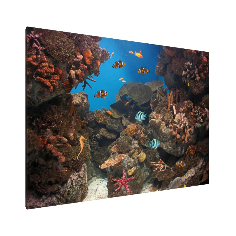 Tablou Canvas: Simfonia vibrantă a corailor