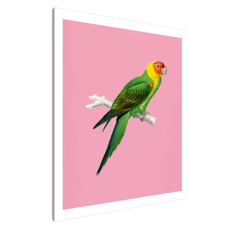 Tablou Canvas: Perch vibrant