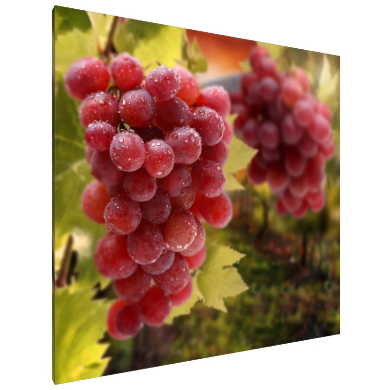 Tablou Canvas: Delicii din vie