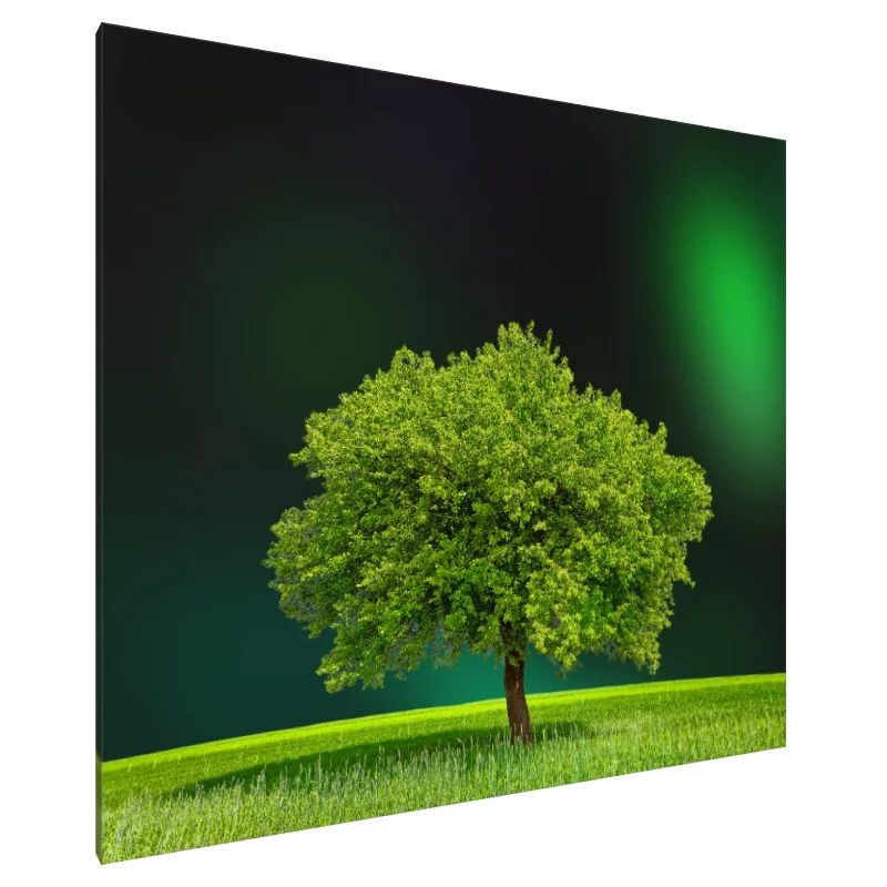 Tablou Canvas: Ecouri Viridiene