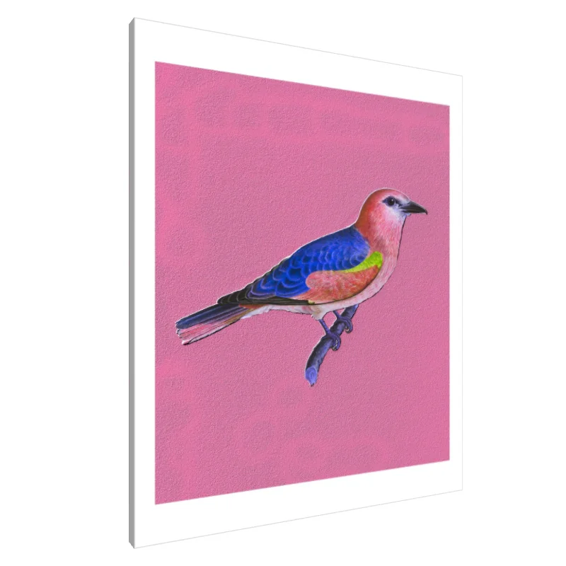 Tablou Canvas: Minunatul Minune cu Aripioare - Image 1