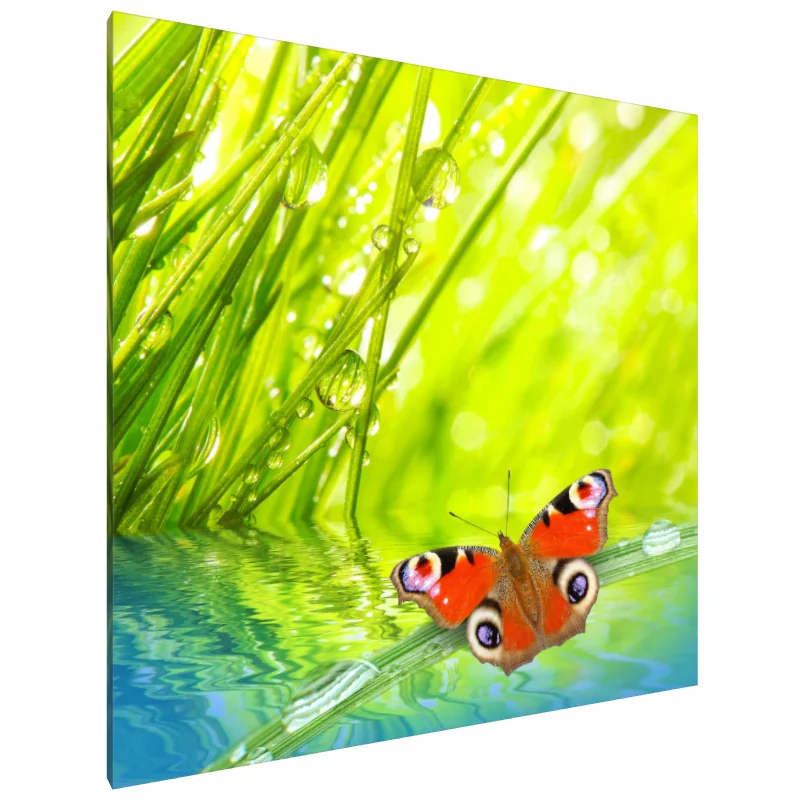 Tablou Canvas: Șoapte de aripi