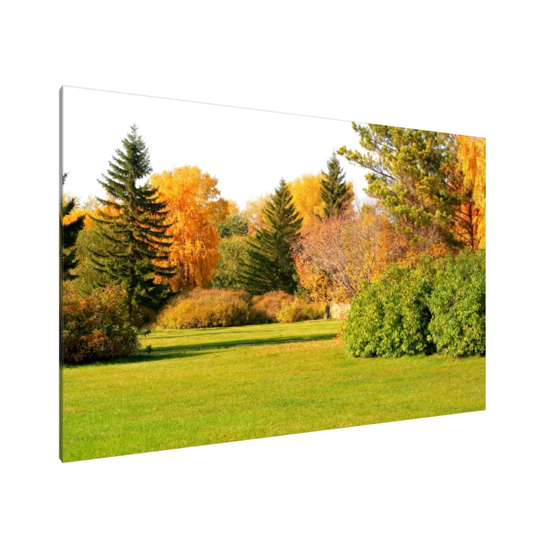 Tablou Canvas: Toamna şoptită - Image 1