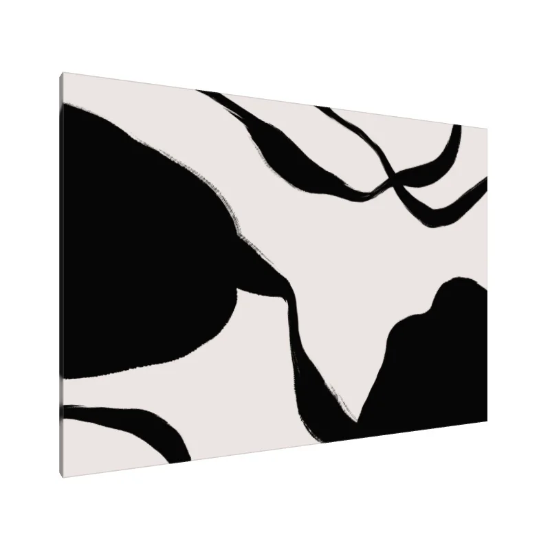 Tablou Canvas: Șoapte în Contrast - Image 1