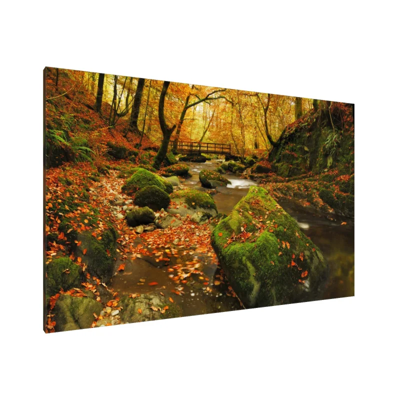 Tablou Canvas: Șoaptele Pârâului Toamnei