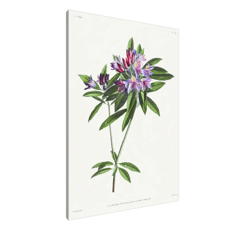 Tablou Canvas: Șoapte de Poezie a Petalelor