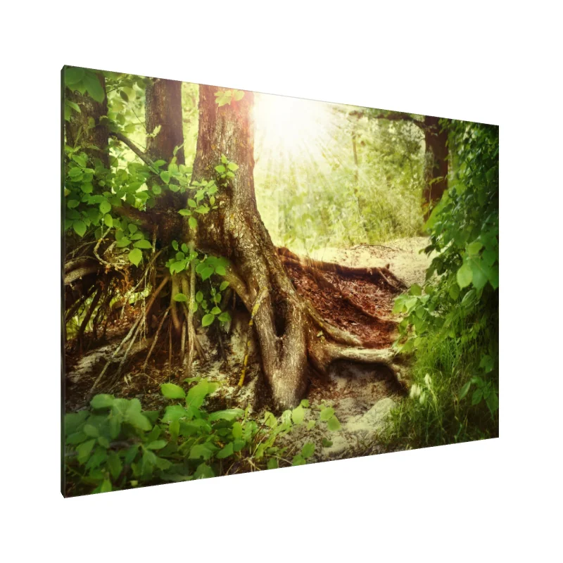 Tablou Canvas: Șoaptele Pădurii Încântate - Image 1