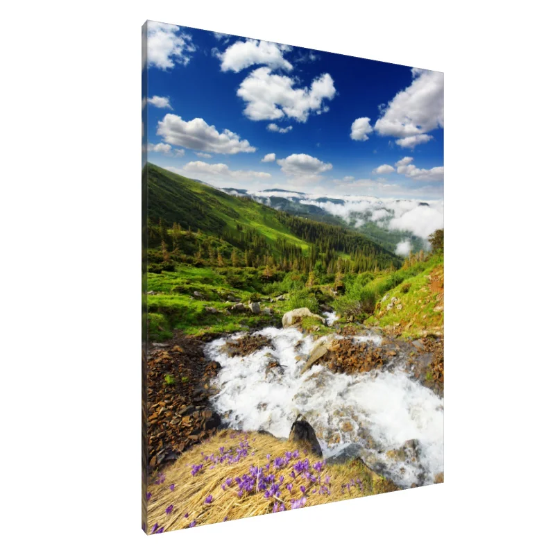 Tablou Canvas: Șoaptele Naturii - Image 1