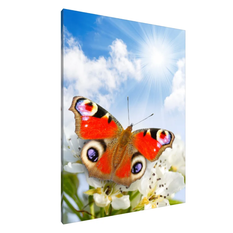 Tablou Canvas: Aripile Minunii (1)