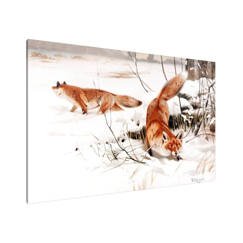 Tablou Canvas: Șoapte de iarnă: Vulpi în zăpadă