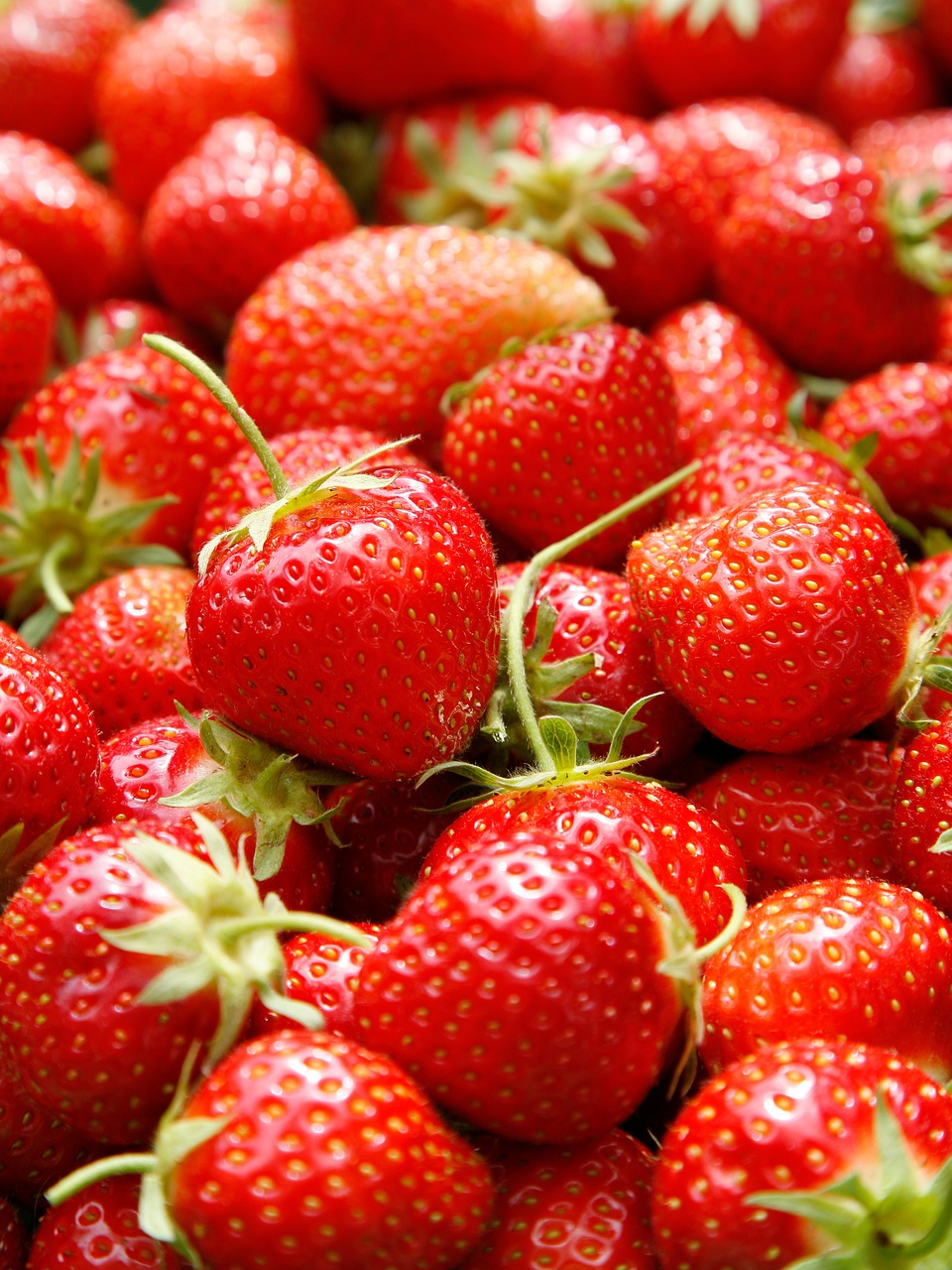 Tablou Canvas: Explozie de fericire cu fructe de pădure - Thumbnail 2