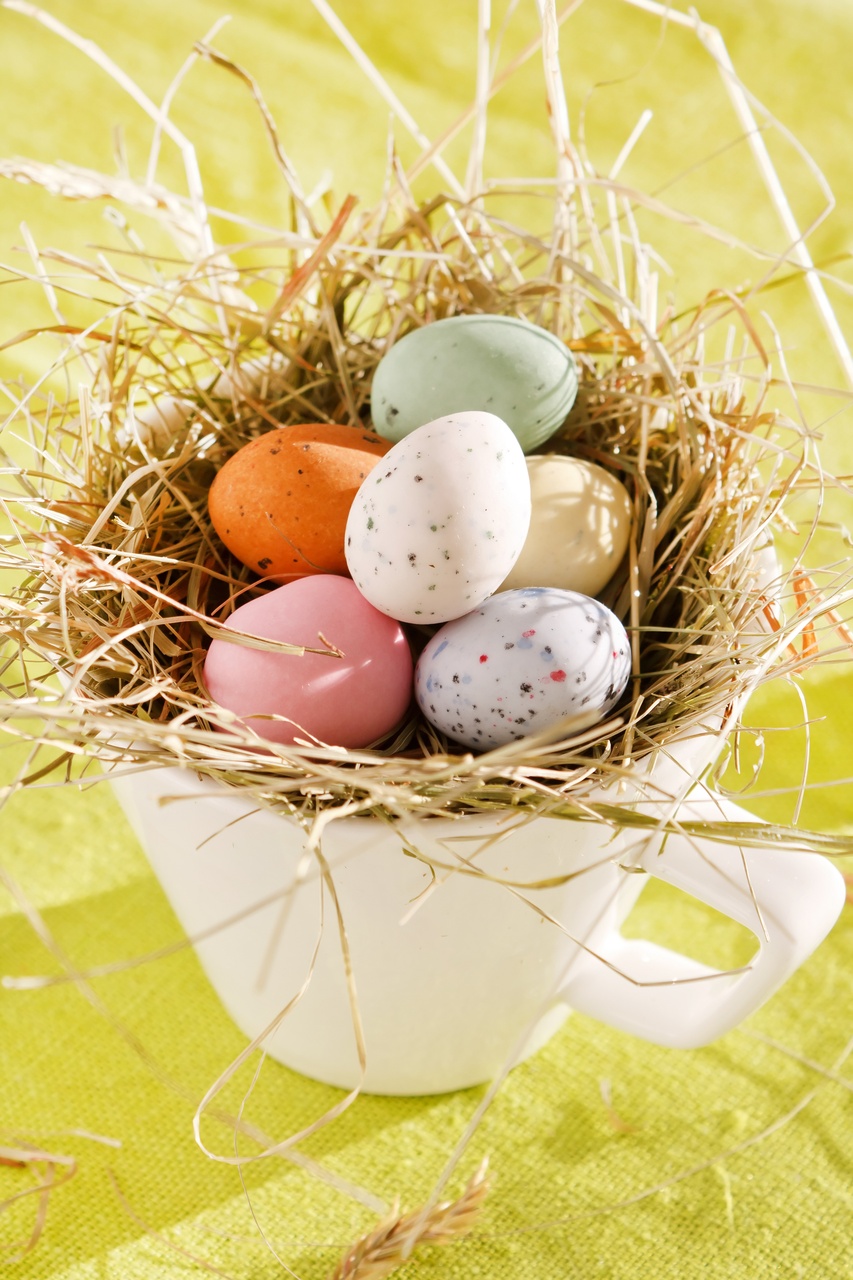 Tablou Canvas: Deliciu de Paște din cuib - Thumbnail 2