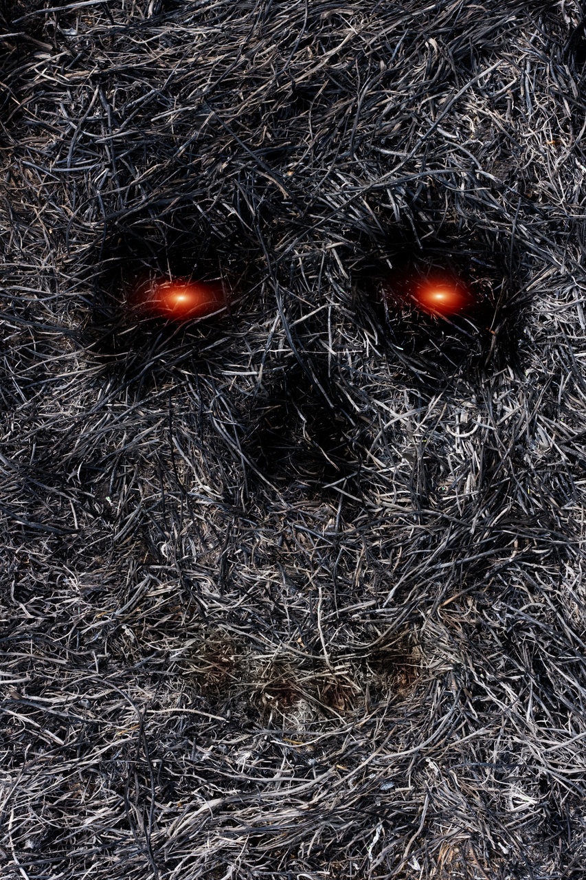 Tablou Canvas: Scântei ale sufletului cenușiu - Thumbnail 2