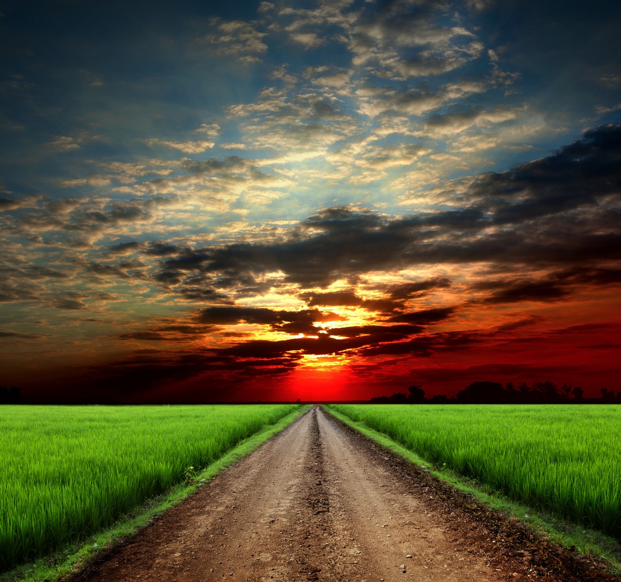 Tablou Canvas: Orizont Fără Sfârșit (2) - Thumbnail 2