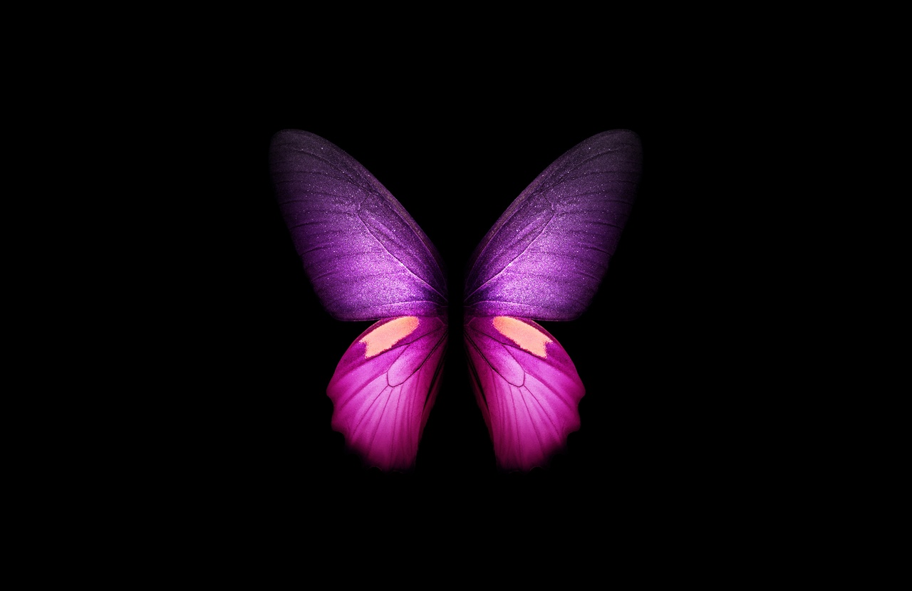 Tablou Canvas: Eleganță etereală - Thumbnail 2