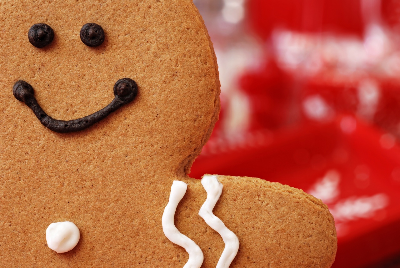 Tablou Canvas: Bucurie de colăcei din tărâțe - Thumbnail 2