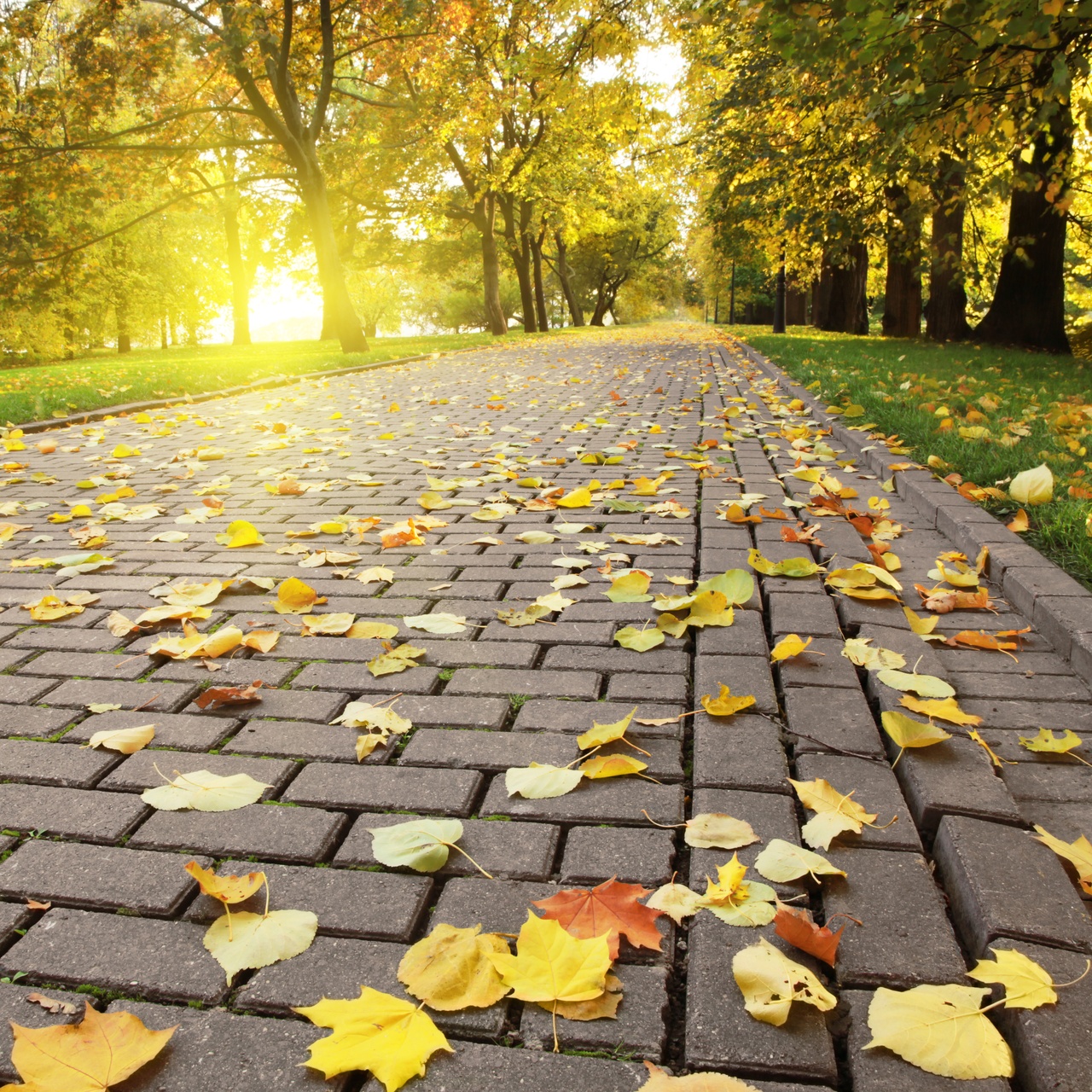 Tablou Canvas: Drumul de Aur - Thumbnail 2