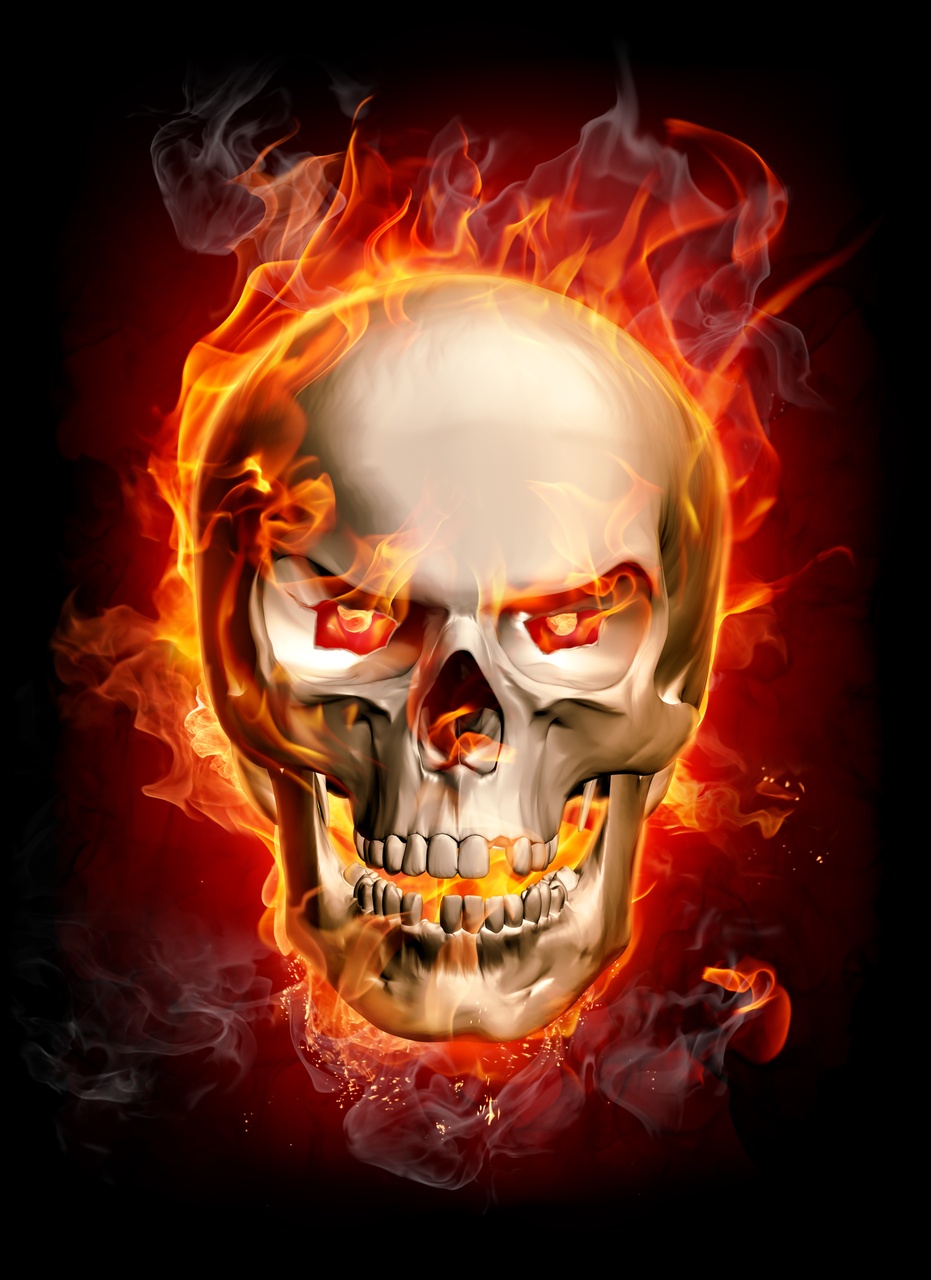 Tablou Canvas: Craniu Infernal - Thumbnail 2