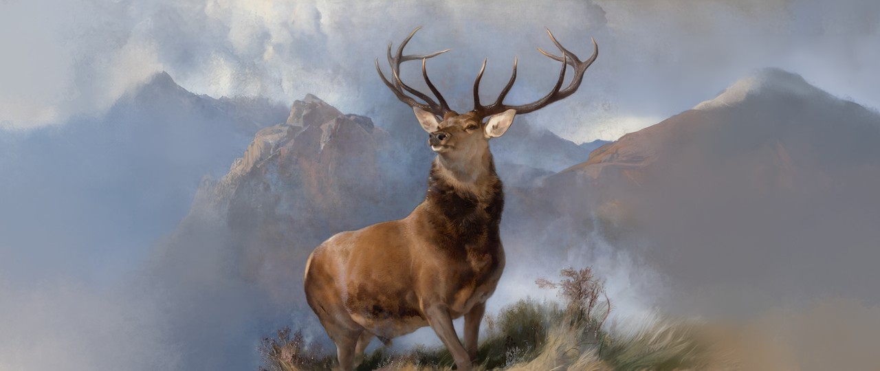 Tablou Canvas: Chemare măreață - Thumbnail 2