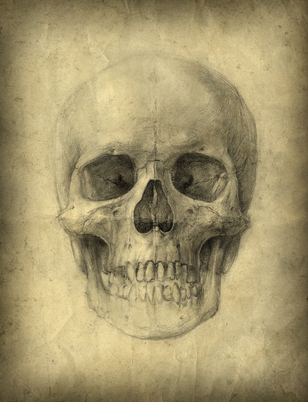 Tablou Canvas: Memento Mori - Thumbnail 2