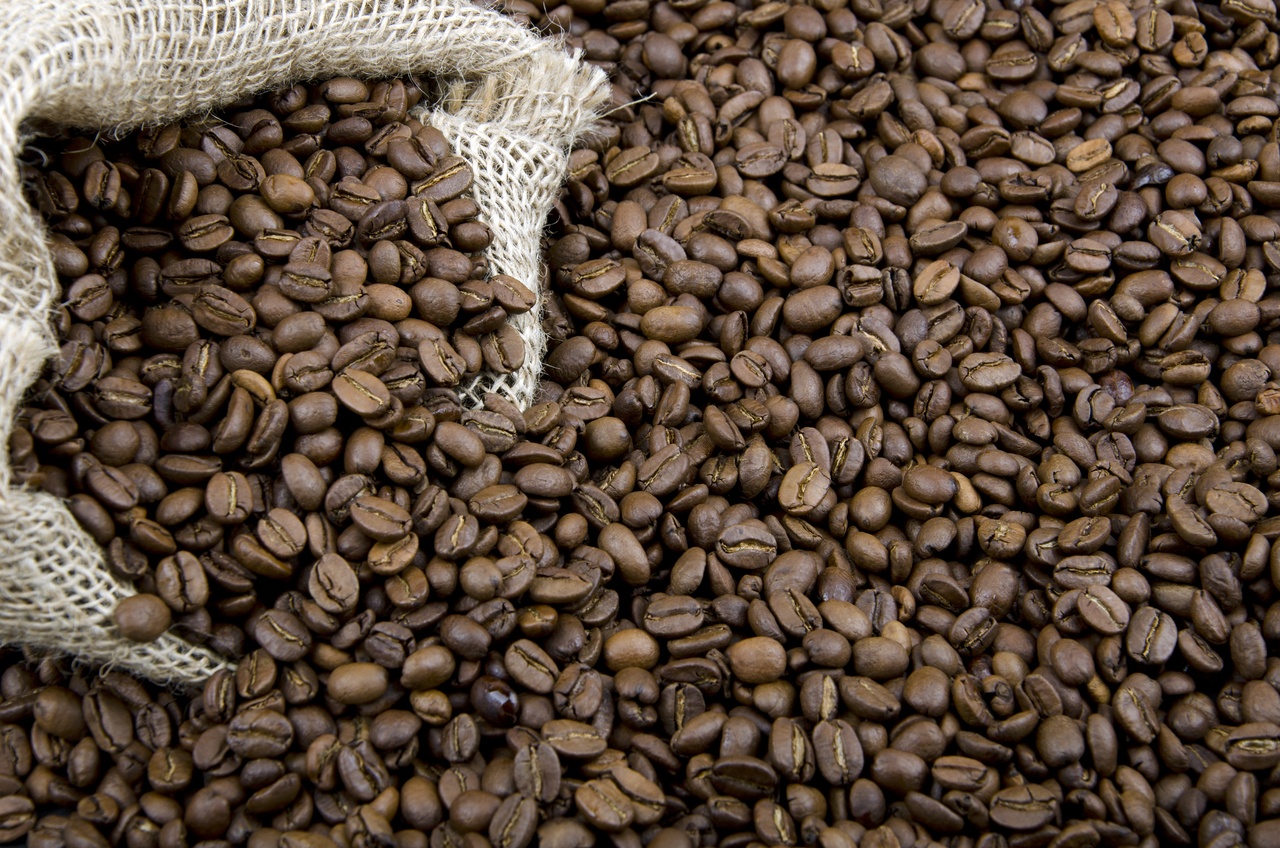 Tablou Canvas: Bucurie matinală eliberată - Thumbnail 2