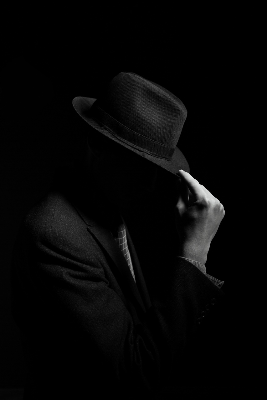 Tablou Canvas: Misterul din Umbre (1) - Thumbnail 2