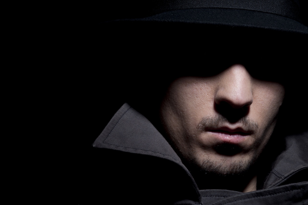 Tablou Canvas: Misterul din Umbre (2) - Thumbnail 2