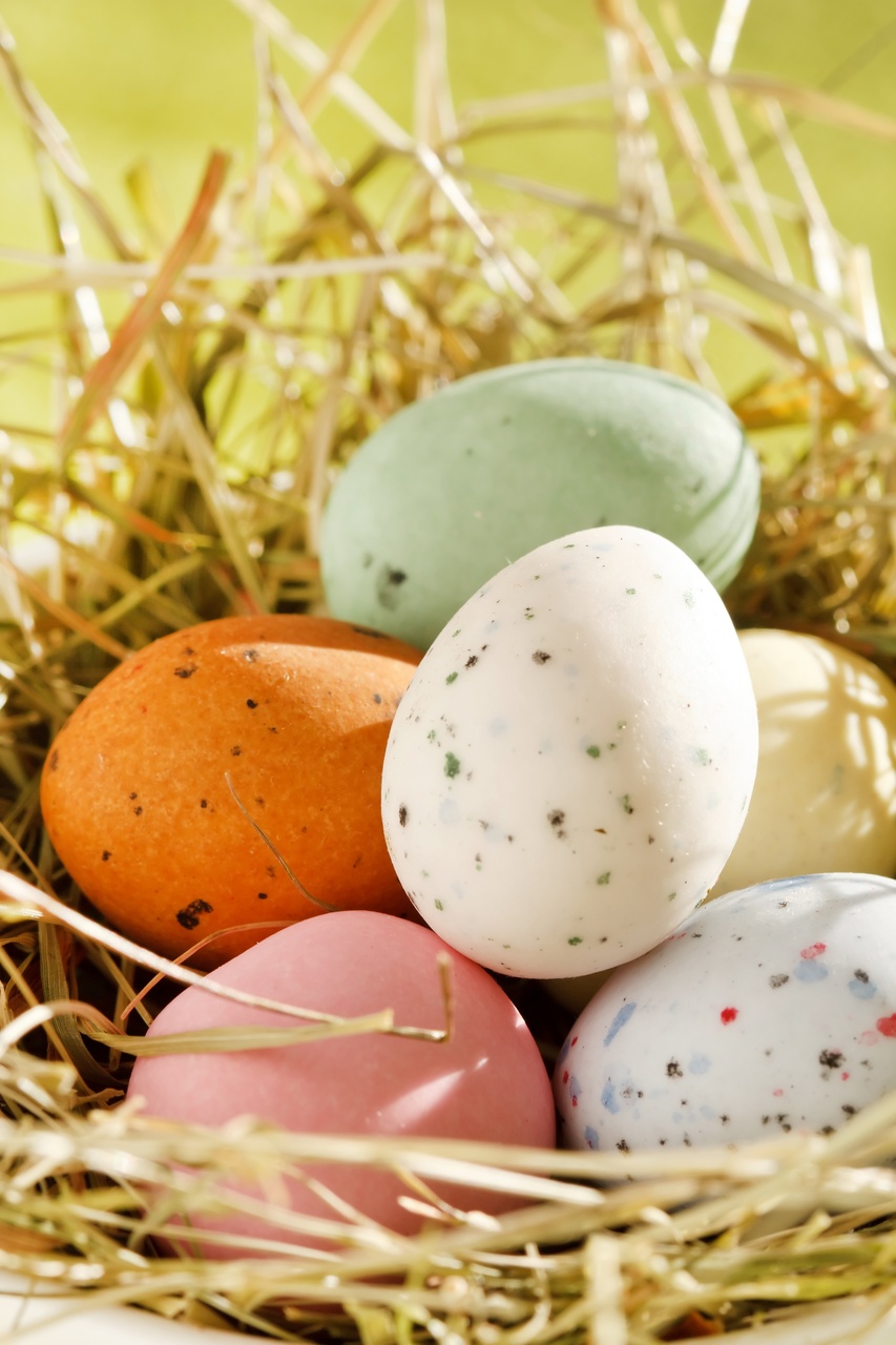 Tablou Canvas: Cuib plin de promisiuni pastelate - Thumbnail 2