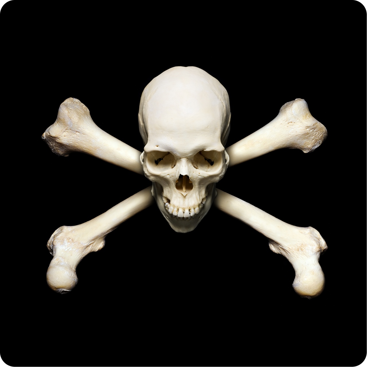 Tablou Canvas: Emblema Piraților - Thumbnail 2