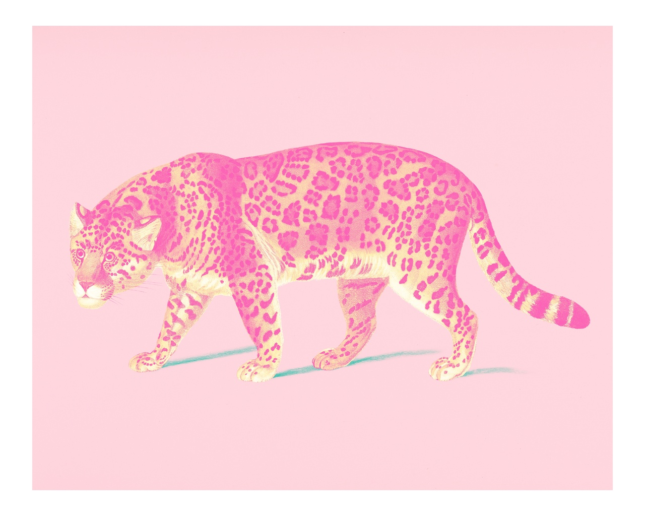 Tablou Canvas: Vânătoare în Roz - Thumbnail 2