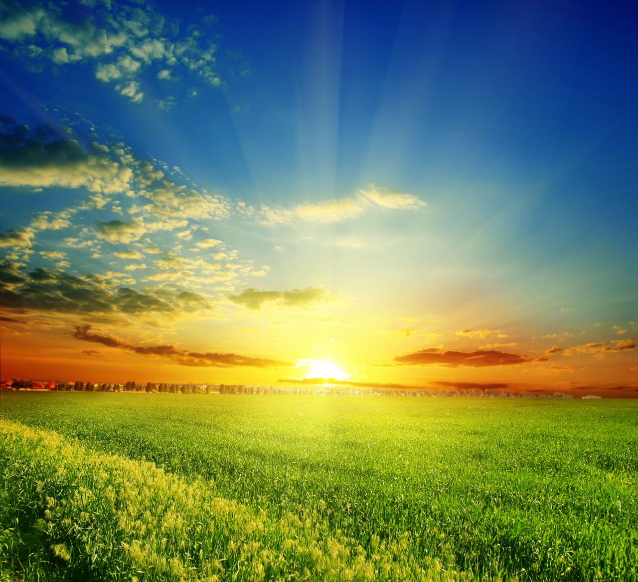 Tablou Canvas: Zori Radiante - Thumbnail 2