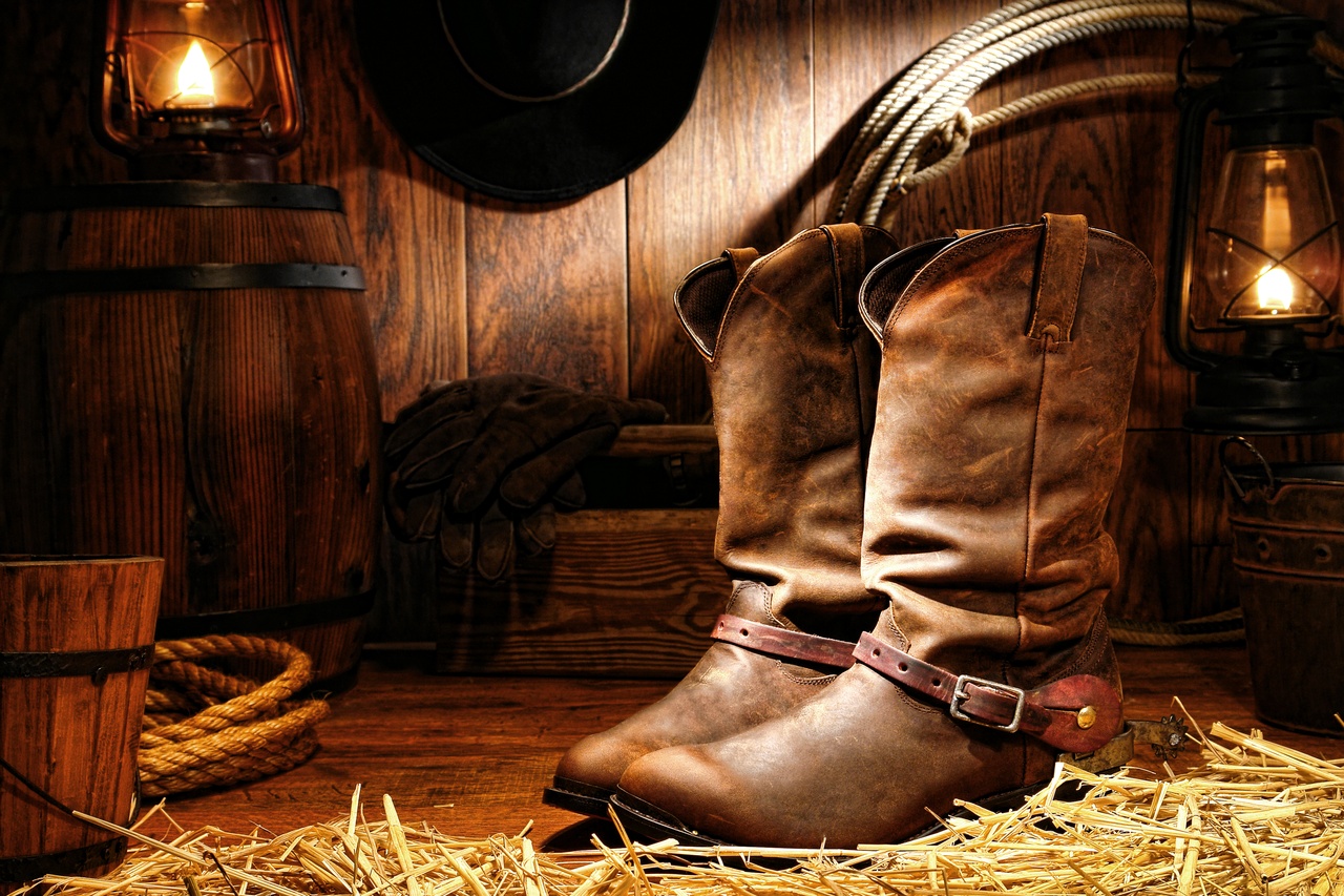 Tablou Canvas: Farmec rustic al cowboy-ului - Thumbnail 2