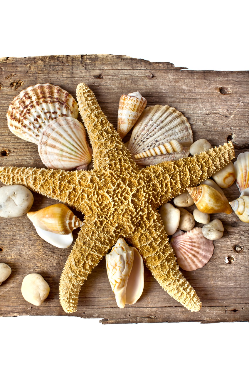 Tablou Canvas: Liniște la malul mării (1) - Thumbnail 2