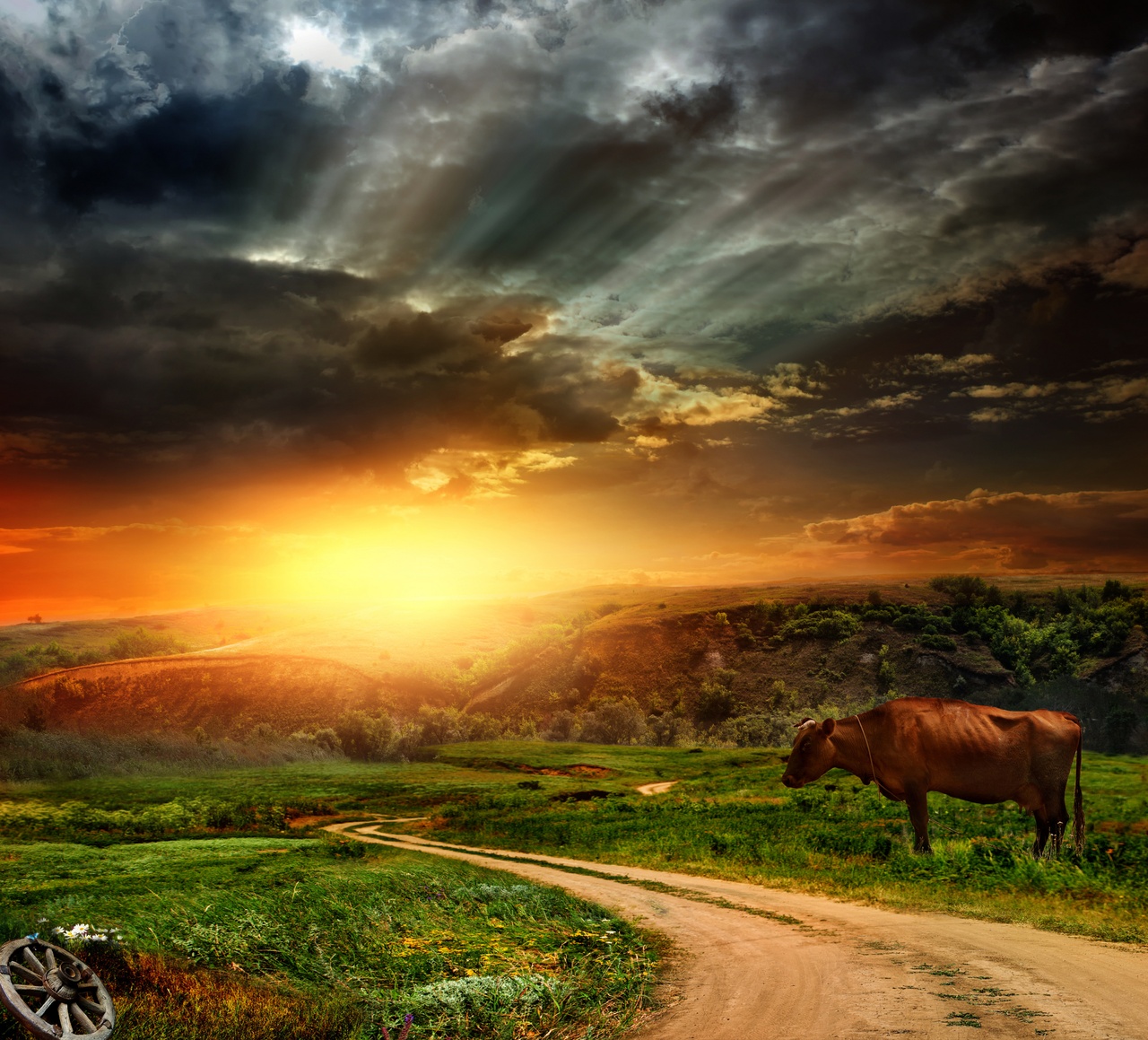 Tablou Canvas: Serenadă la apus (1) - Thumbnail 2