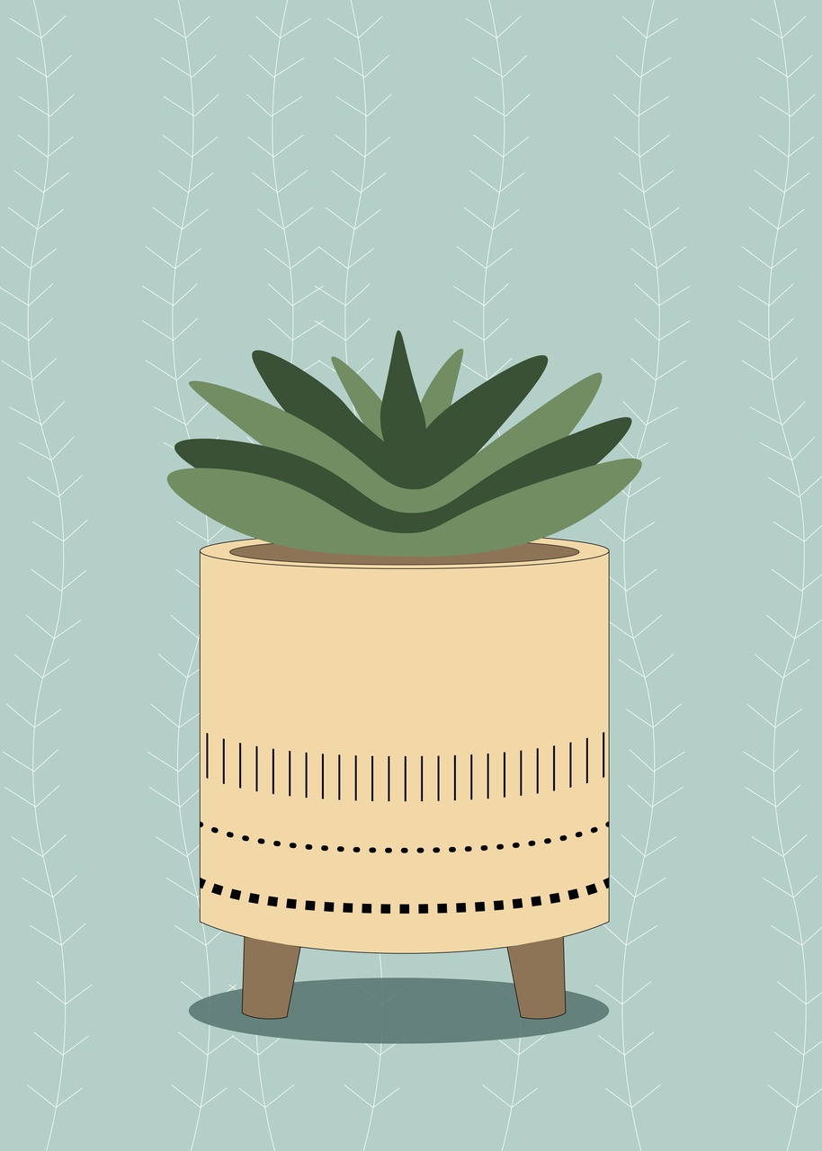 Tablou Canvas: Suculent Senin. - Thumbnail 2