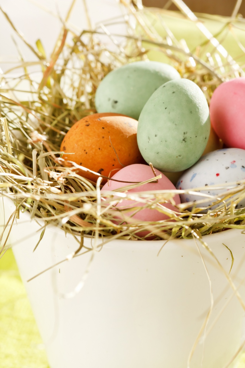 Tablou Canvas: Deliciul cuibului de primăvară - Thumbnail 2