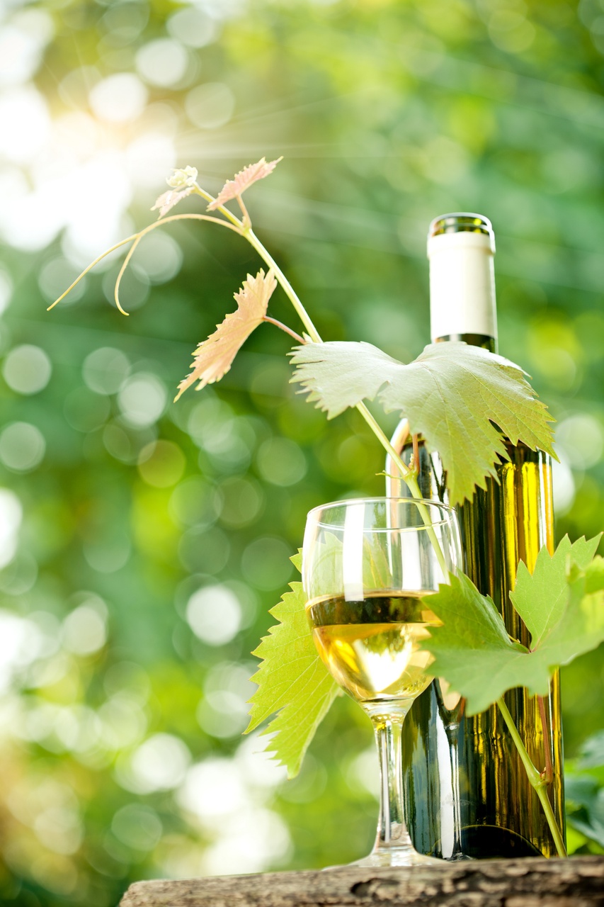 Tablou Canvas: Înghițituri luminoase de soare - Thumbnail 2