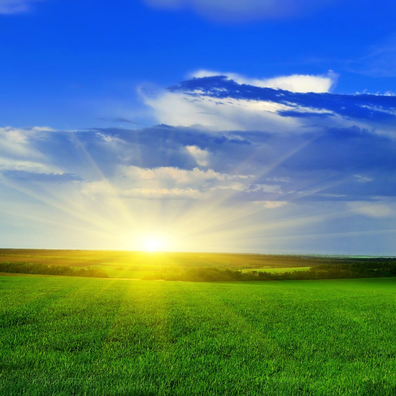 Tablou Canvas: Seninătate la Răsărit (1) - Thumbnail 2