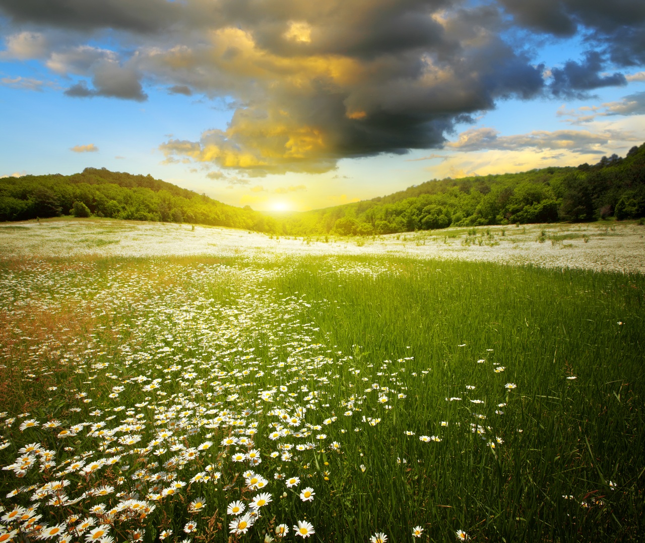 Tablou Canvas: Serenadă la apus - Thumbnail 2