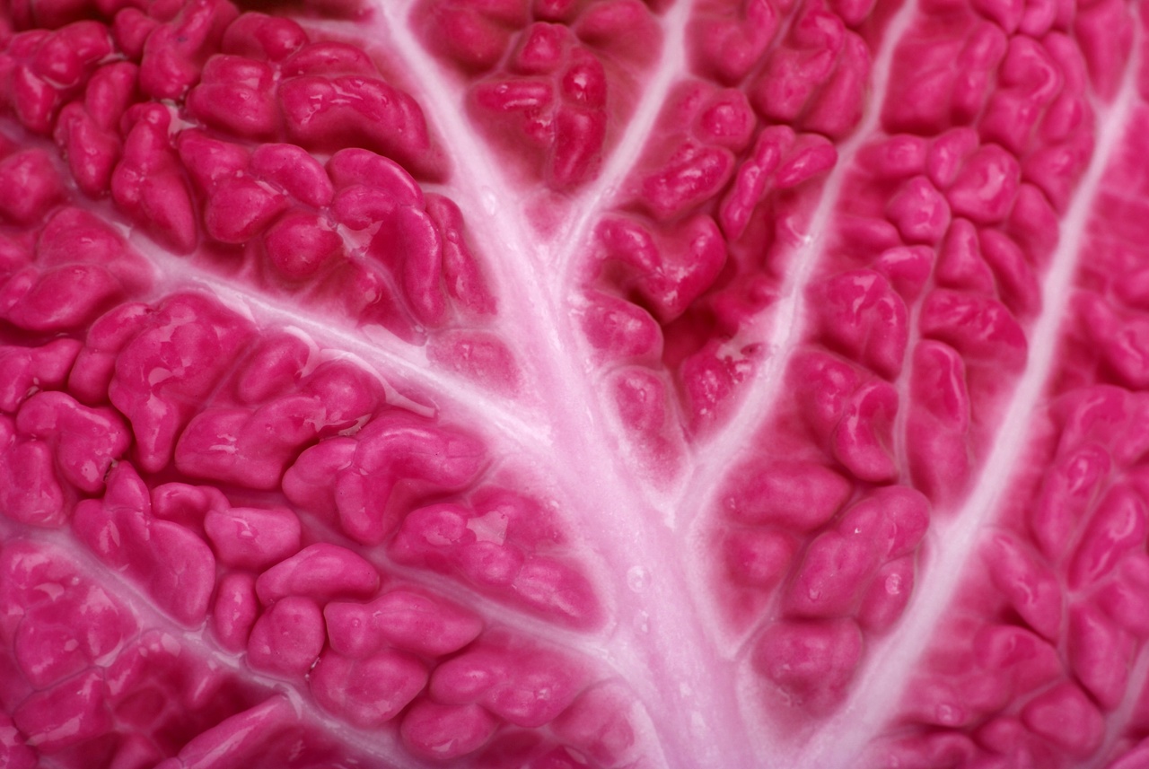 Tablou Canvas: Venelor de Catifea - Thumbnail 2