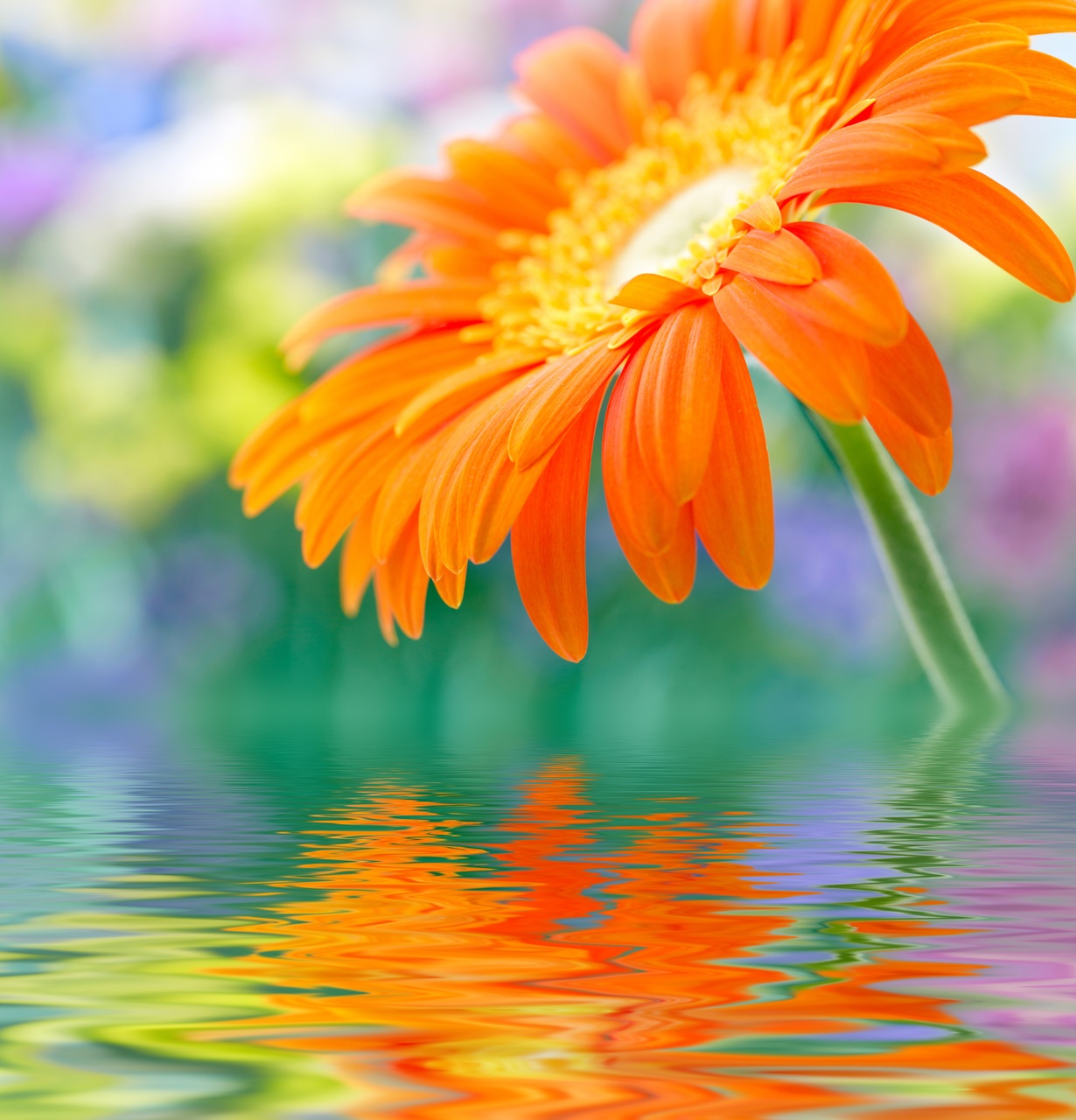 Tablou Canvas: Reflexii Vibrante - Thumbnail 2