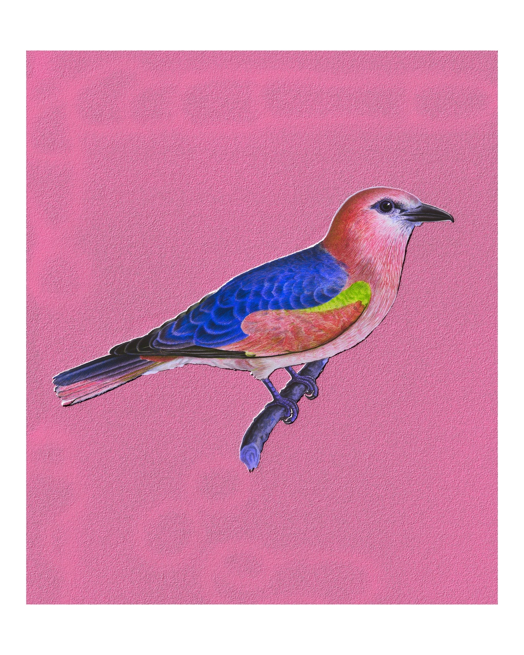 Tablou Canvas: Minunatul Minune cu Aripioare - Thumbnail 2