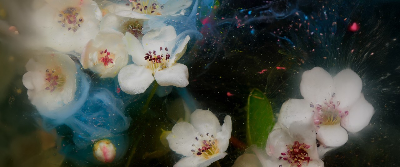 Tablou Canvas: Șoapte de Înflorire - Thumbnail 2