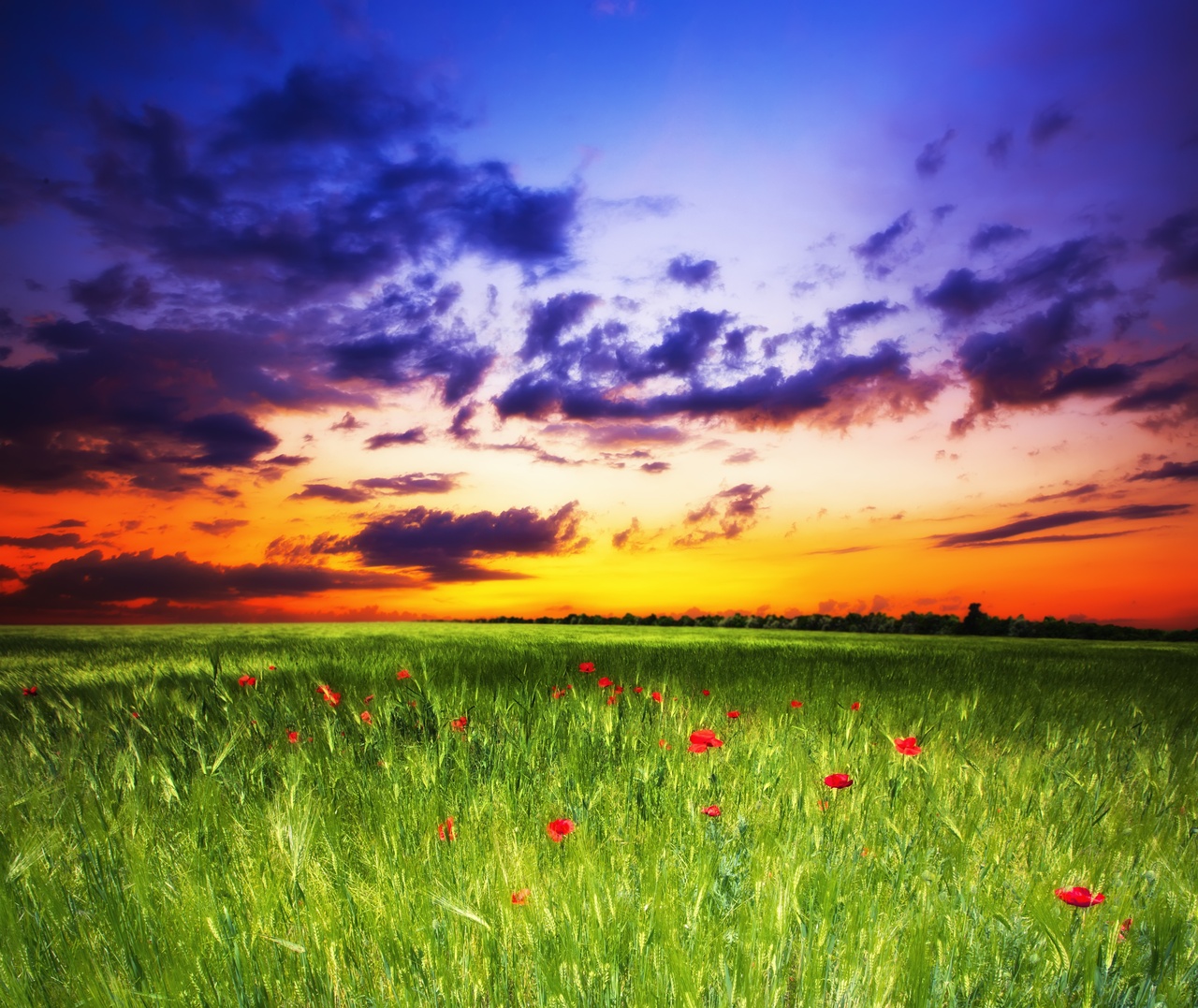 Tablou Canvas: Șoaptele Orizontului (1) - Thumbnail 2