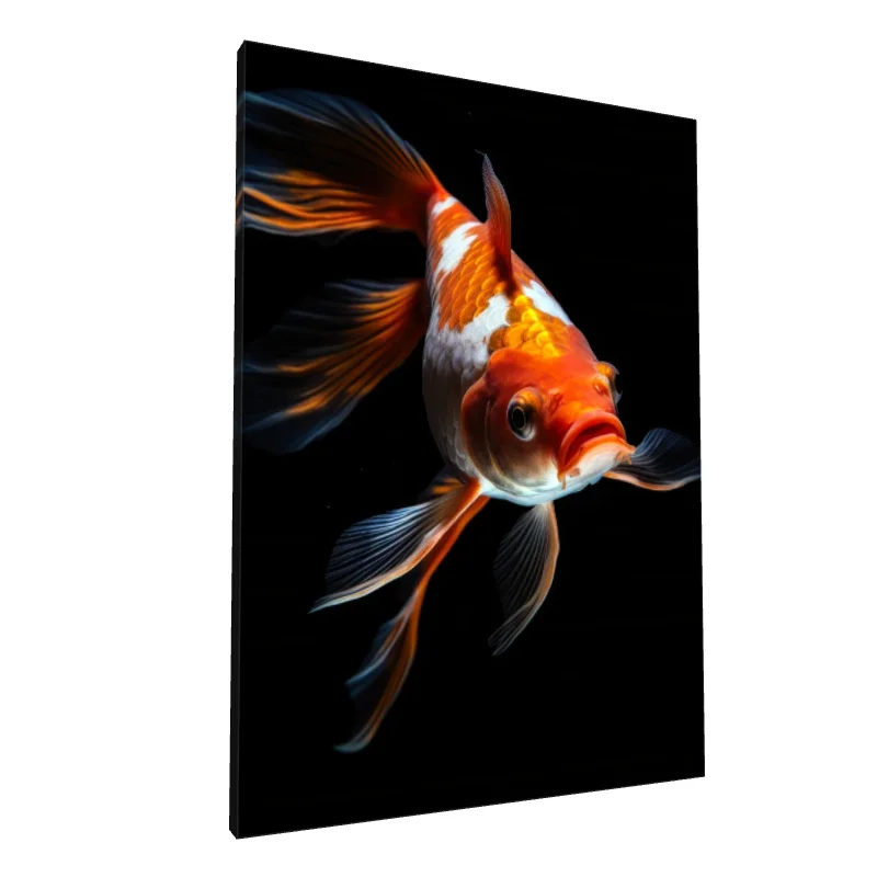 Tablou canvas: Carp Koi în Lumină Dramatică