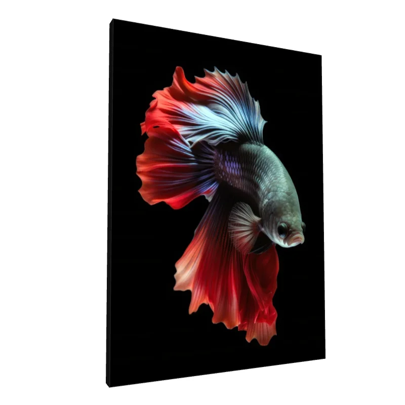 Tablou canvas: Pește Betta în Tonuri Roșii și Albastre - Image 1