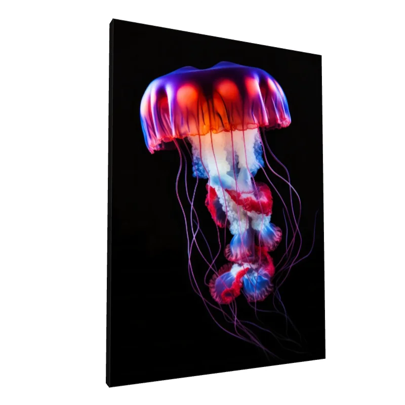 Tablou canvas: Meduză Colorată pe Fundal Negru